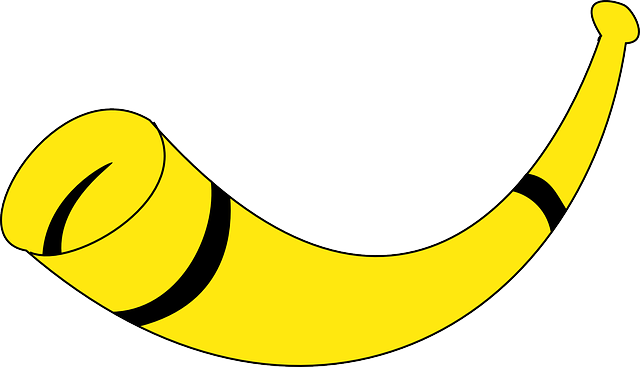 horn