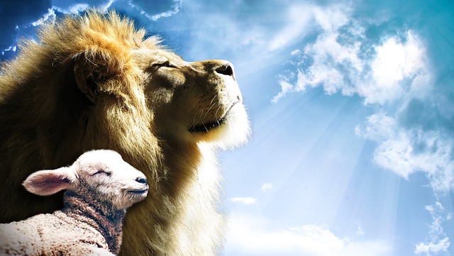 Lion and the Lamb