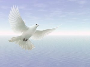 Holy Spirit like a dove over the ocean