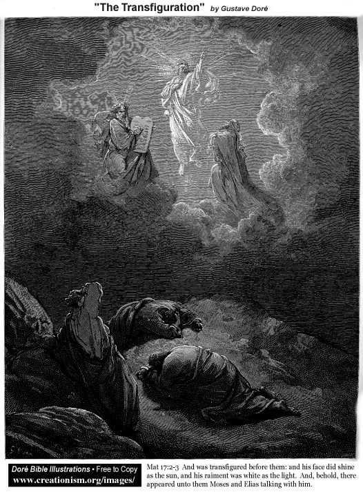 the transfiguration
