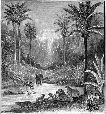 Adam and Eve in paradise