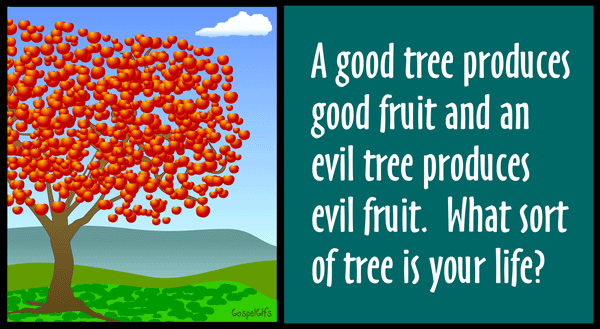 A Good Tree Brings Forth Good Fruit