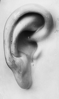 ear