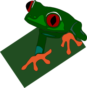 a red eyed frog