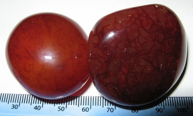 Red Carnelian Sardine Stone