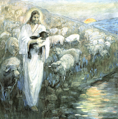 Jesus the Shepherd of Sheep